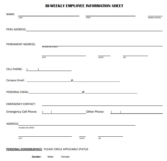 bi weekly employee information sheet template