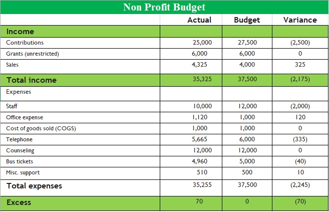 npo budget template
