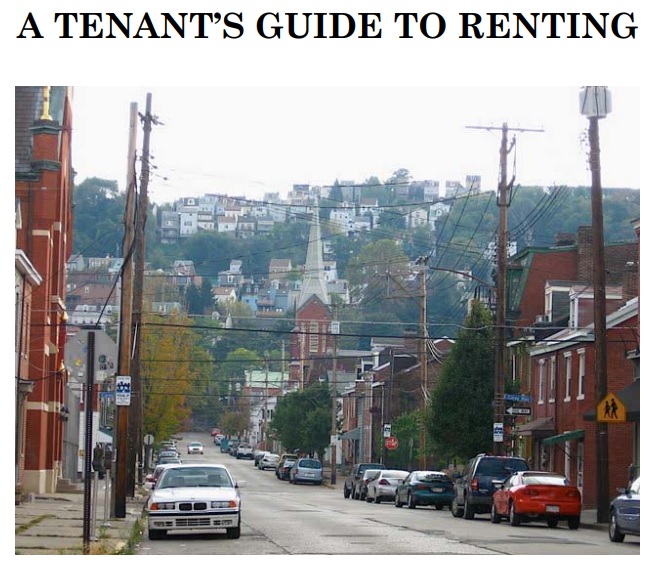 first time tenant guide to renting