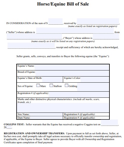 horse equine bill of sale form