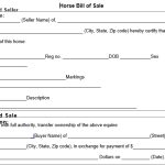 Printable Horse Bill of Sale Form (Word / PDF)