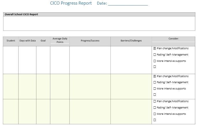 cico progress report template
