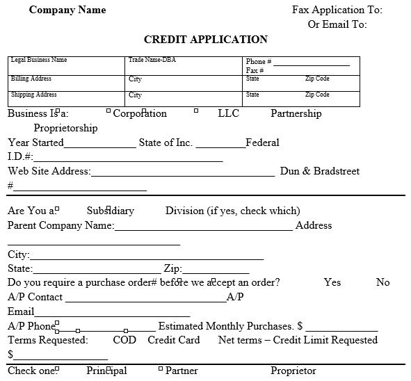 credit application template excel