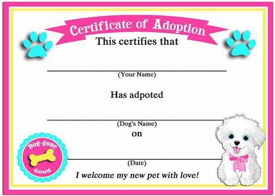 free dog adoption certificate template