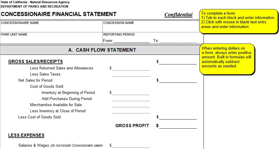 free financial statement template 5